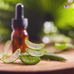 Les super-pouvoirs de l'aloe vera pour chouchouter notre visage