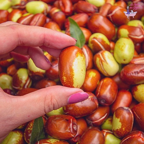 Pourquoi l'huile de jojoba est votre meilleure alliée contre l'acné ?