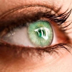 Comment prendre soin du contour de l’œil ?