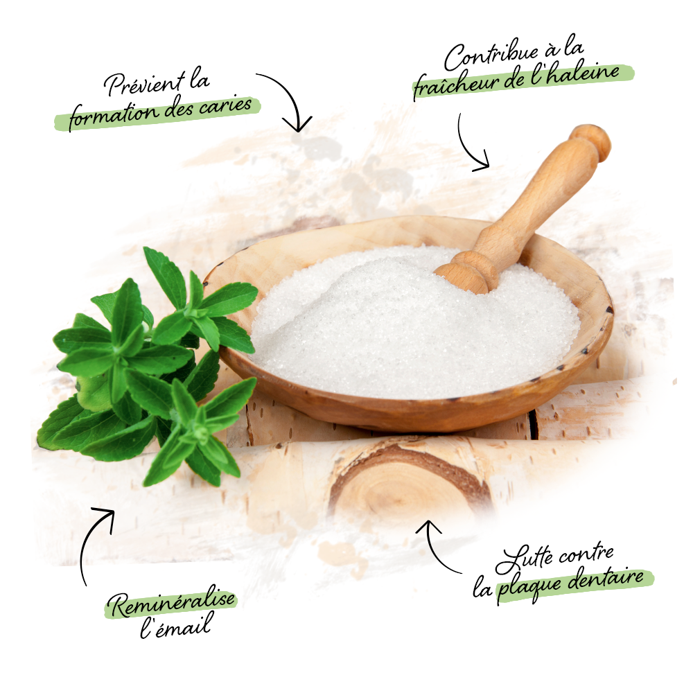 bienfaits du xylitol