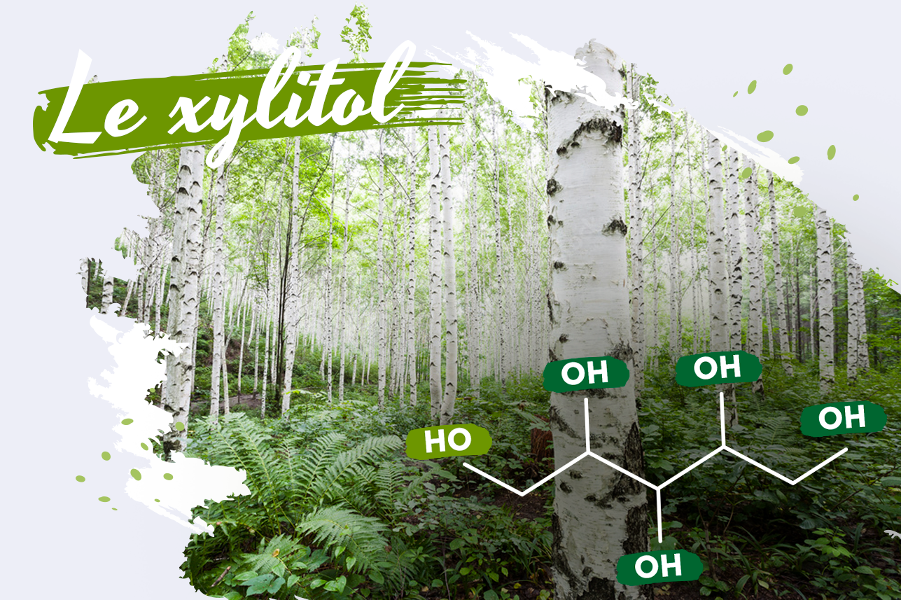 illustrations xylitol