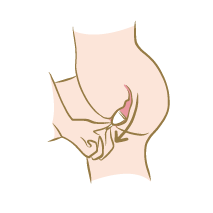 <p>Un retrait facilité : Pour retirer votre coupe menstruelle il suffit de tirer doucement sur la tige jusqu'à ce que vous attrapiez la base de ce dispositif. Un embout est prévu pour faciliter la préhension lors du retrait.<br />Pincez-la et bougez-la jusqu'à pouvoir la retirer délicatement.<br />Lorsque votre coupe est retirée, videz le flux dans les toilettes et rincez-la à l'eau tiède ou avec un savon bio spécifique pour toilette intime.</p>