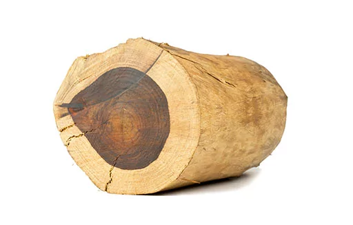 Aniba rosaeodora wood extract ou huile essentielle de bois de rose bio