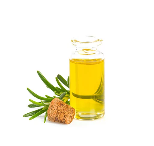 Rosmarinus officinalis leaf oil ou huile essentielle de romarin bio 