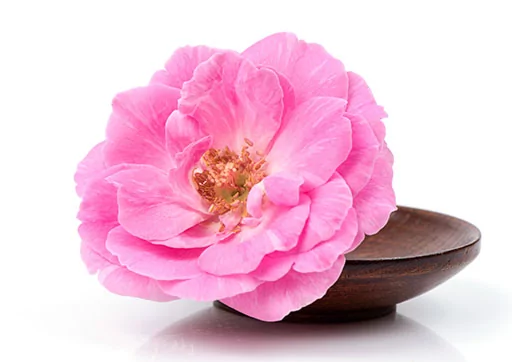 Huile essentielle de rose de damas 