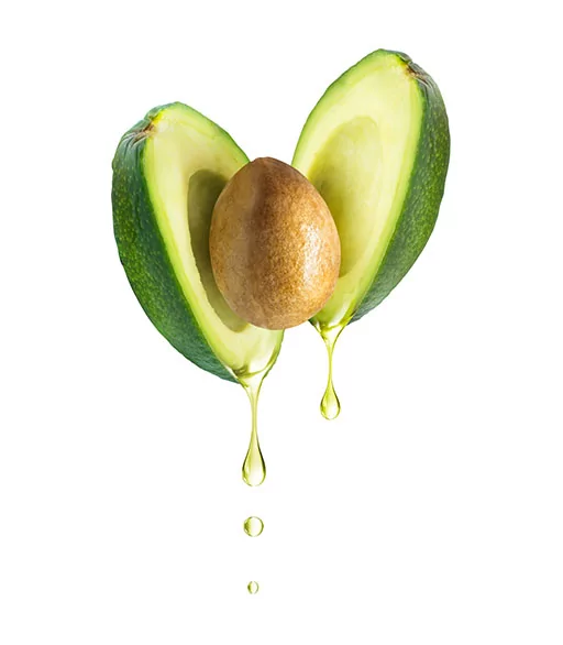Huile vegetale d'avocat bio