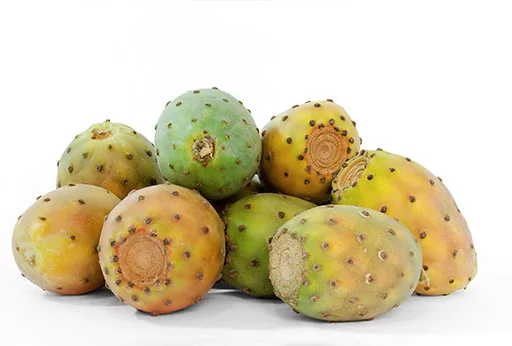 Opuntia ficus indica seed oil ou huile vegetale de figue de barbarie bio