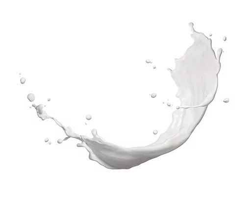 Le lait de chèvre bio : un cocktail beauté 