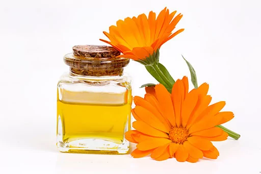 Macérat huileux de calendula bio et huile de tournesol 